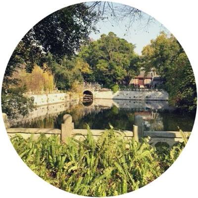 梦回西游手机版下载